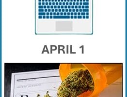 Marijuana Policy & Best Practices: Handling Employee Medical & Recreational Use